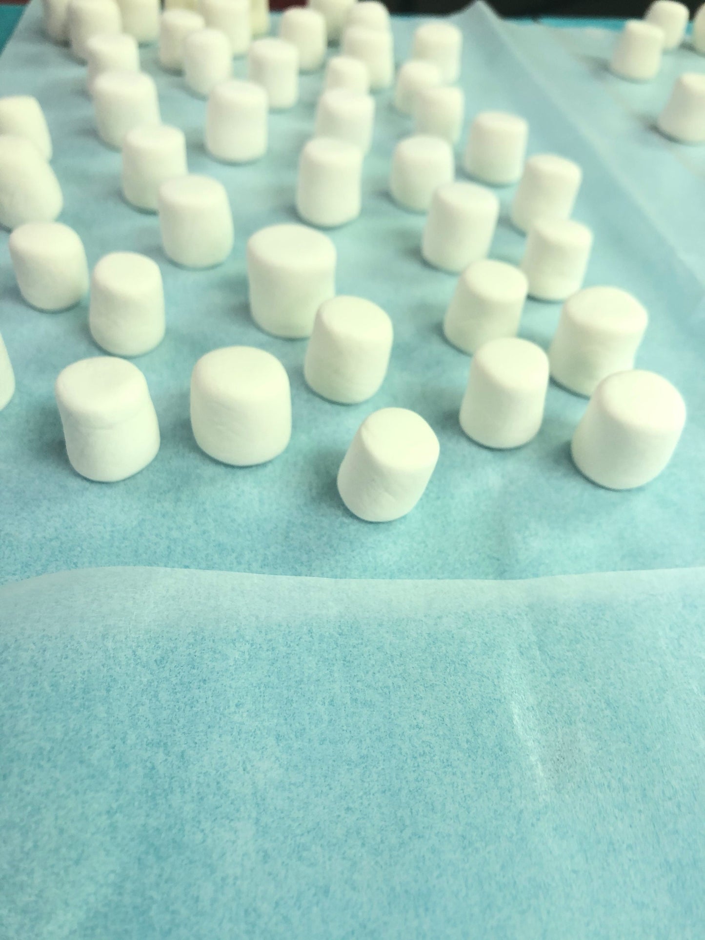 Fake bakes, mini marshmallows, fake bake accents, fake marshmallows